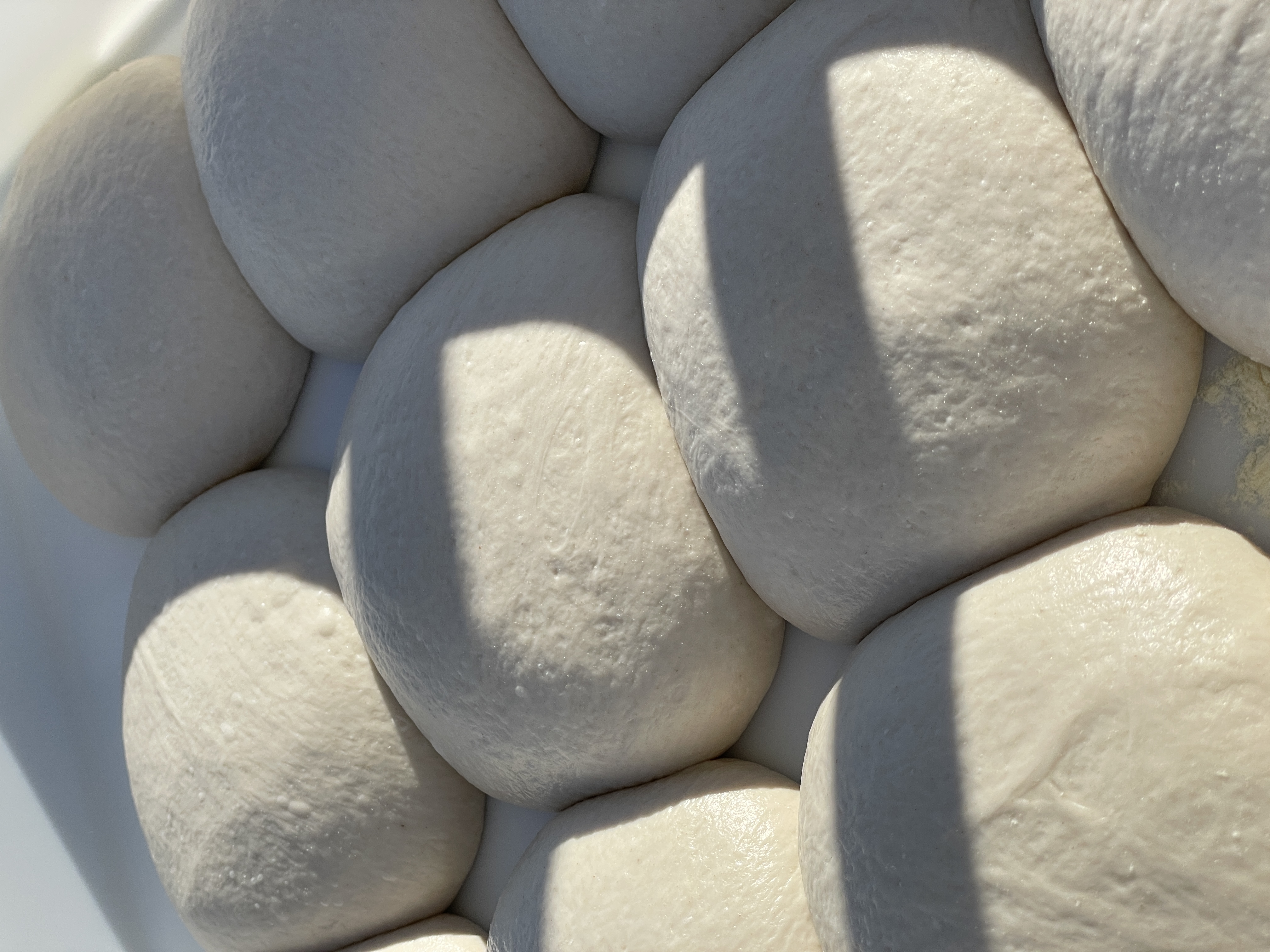 Freshly made from scratch, long fermented pizza dough balls shining in the sun at a Pizzeria Coco event.