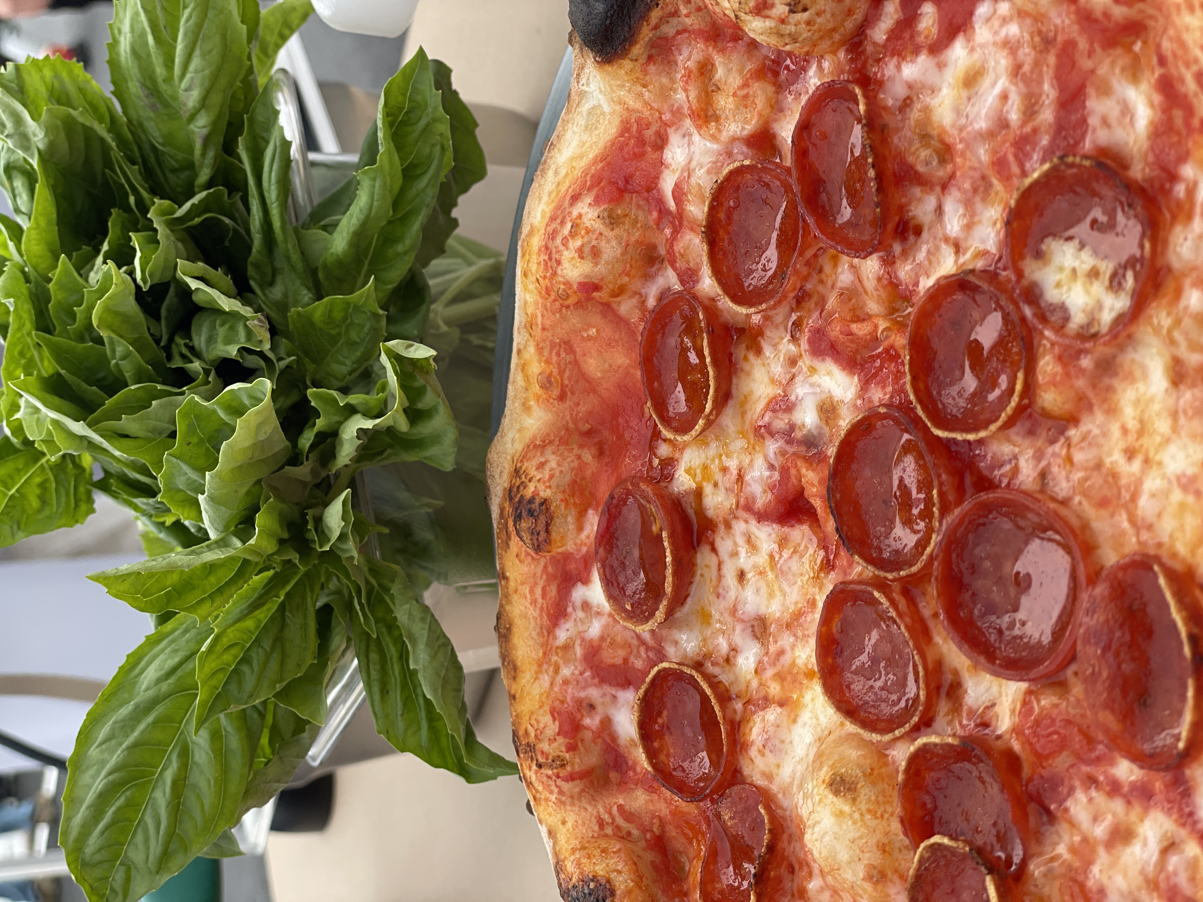 Wood-fired pepperoni pizza with crisp cupping pepperoni from Pizzeria Coco