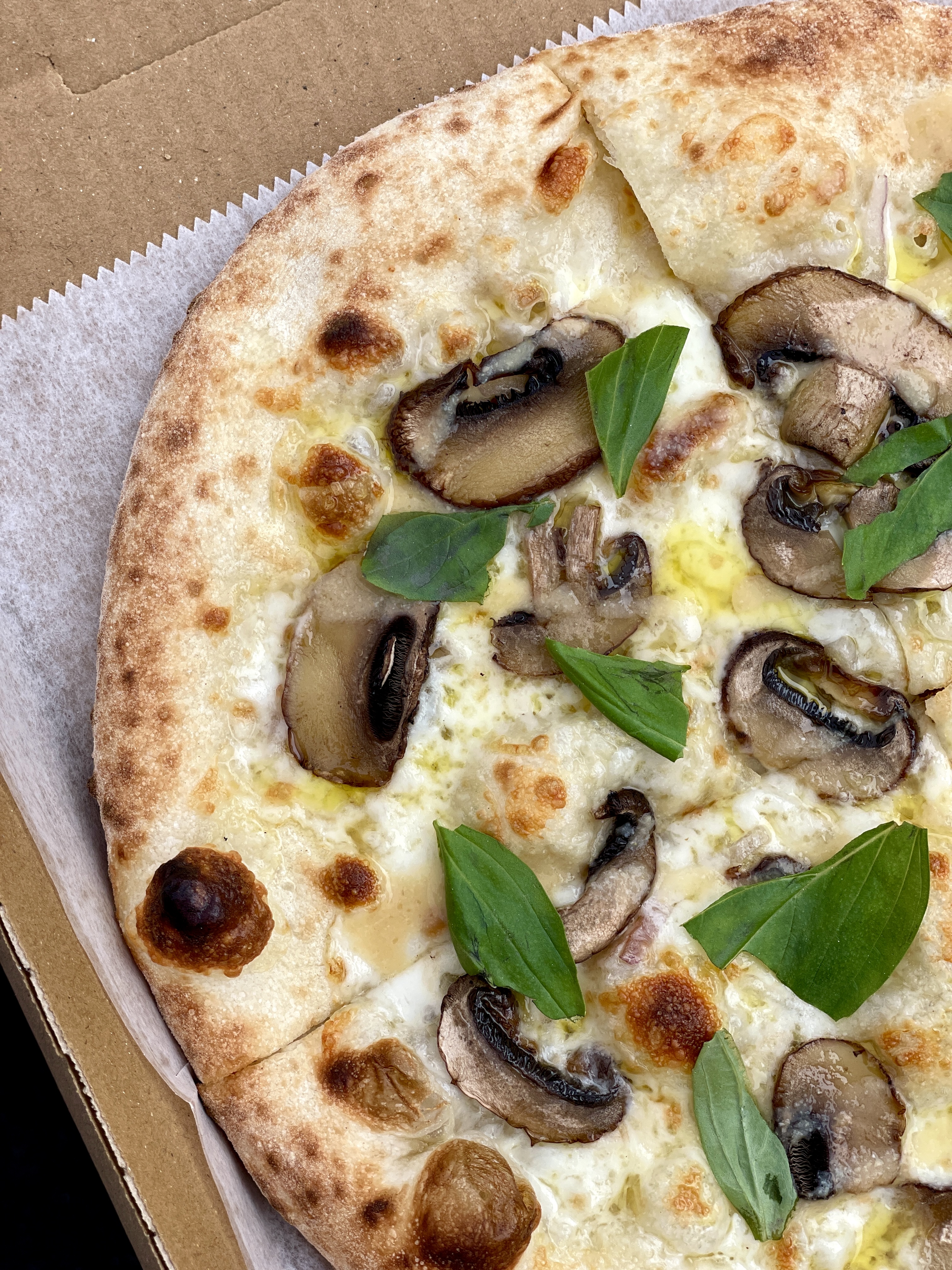 Pizzeria Coco Shroomami Bomb white pizza with mushrooms, shallots and fresh basil